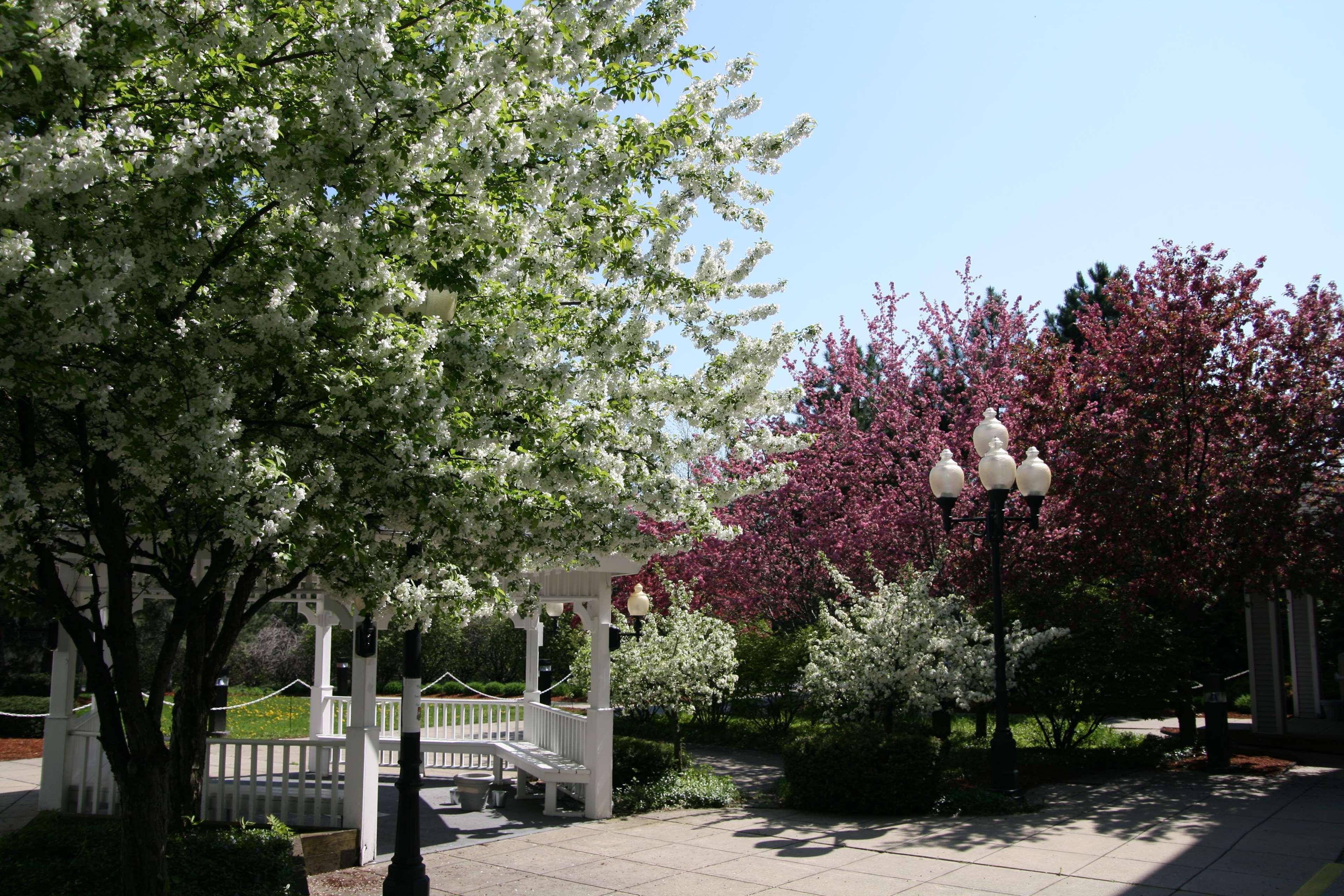 Hampton Inn Burlington - Colchester Esterno foto
